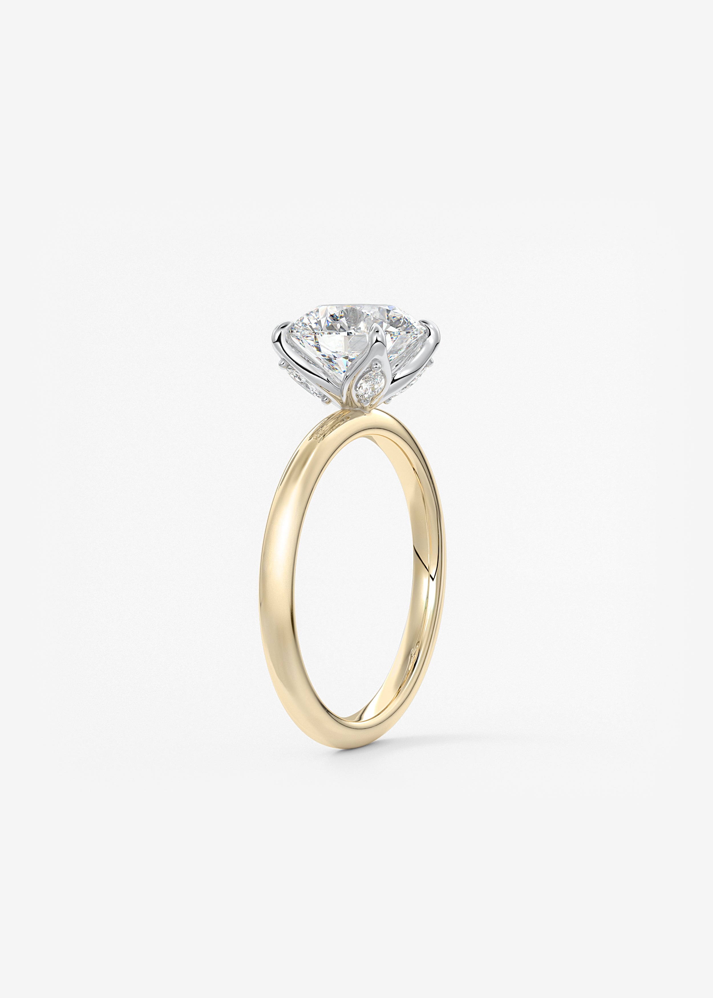 The Bloom Royale engagement view 2