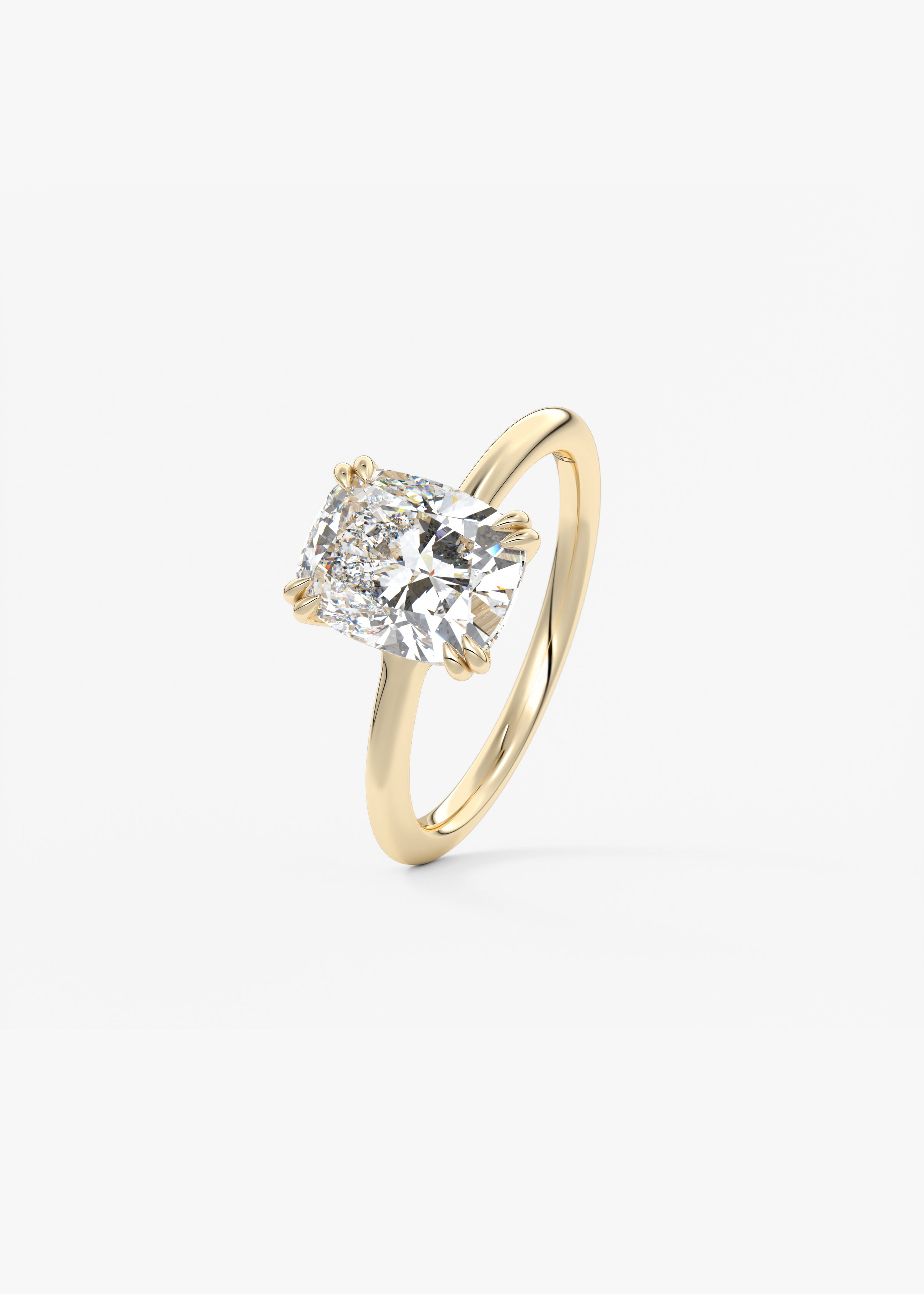 The Double Scoop engagement view 2